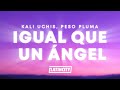 Kali Uchis, Peso Pluma - Igual Que Un Ángel (Letra)