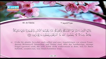 066 | At-Tahrim | Sa`d Al-Ghamidy | سورة التحريم | سعد الغامدي