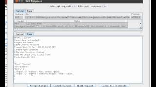 13 json injection Wealth
