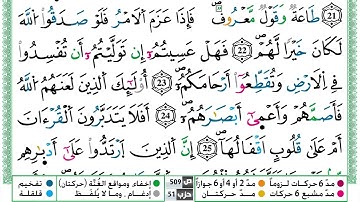 سورة محمد القسم الثالث مكرر ياسين الجزائري برواية ورش عن نافع