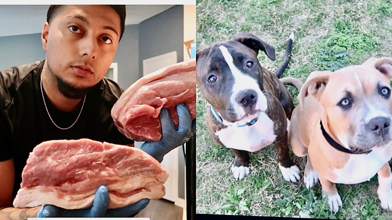 PITBULL BOXER MIX!! WHAT I FEED THEM!! YouTube