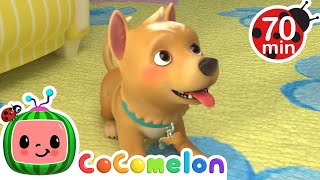CoComelon  Bingo! Learning Videos For Kids | Education Show For Toddlers
