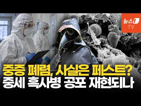 폐렴인 줄 알았는데 ‘흑사병 공포'…러시아 페스트 유출 의심 사고 전말