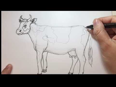 Come disegnare una Mucca a Matita Tutorial