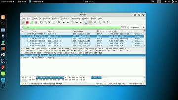 How to see the Dora handshake or DHCP handshake using wireshark