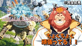 【ファイナルファンタジーXIV】メインシナリオ頑張る！！#17【獣人Vtuber獅子座みかん】