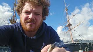 Kosher kush UK weed review rsosos boats and cannabis