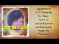 CELESTINE DONKOR Hit Gospel Songs Audio Jukebox 2 mp3