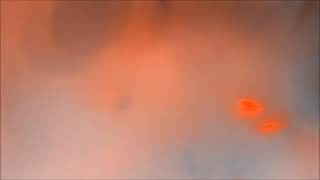 B4-12 Color Video Cc0 License