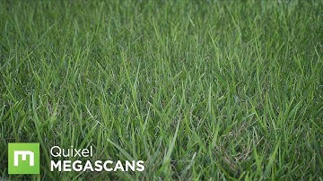 Creating Grass with Color Variation in UE4