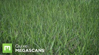 Creating Grass with Color Variation in UE4