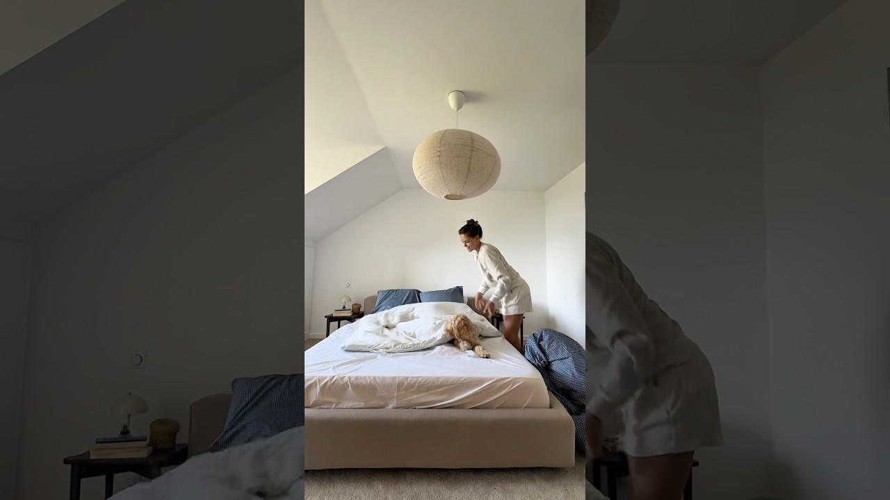 my morning routine as a dog mom 🐶