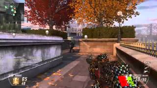 Black Ops II Bad grenade throw gets the kill