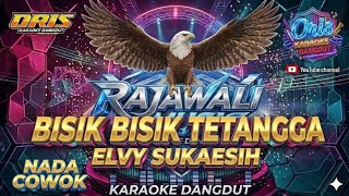 OM RAJAWALI MUSIC_Karaoke_Bisik Bisik Tetangga_Nada Cowok