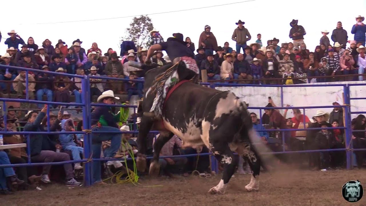 Gran Jaripeo en Iratzio Michoacán con rancho Grano de Oro y Agua Zarca