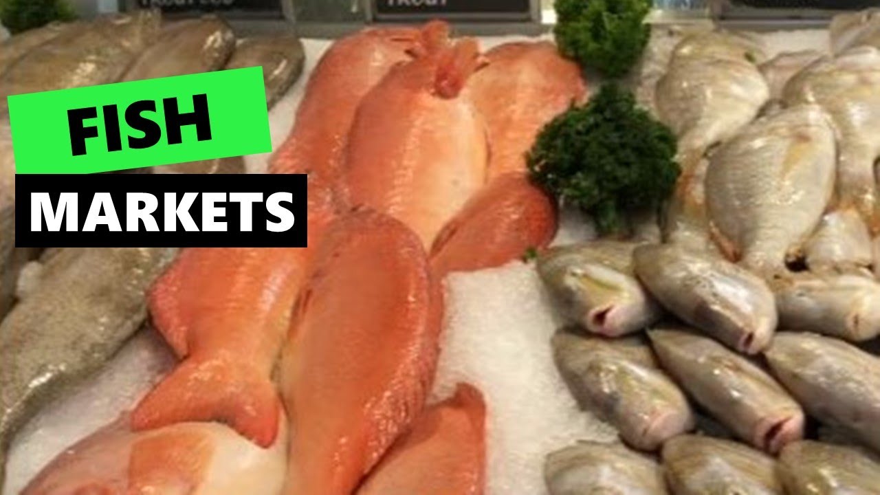 Fish Markets YouTube