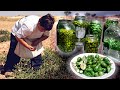 Alcaparras y táparas. Recogida y conserva de este fruto comestible | Oficios Perdidos | Documental