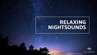 Relaxing Night Sounds | Soundbug