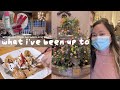 a month in my life 🍰🖼️ art museum, bakery, movie night
