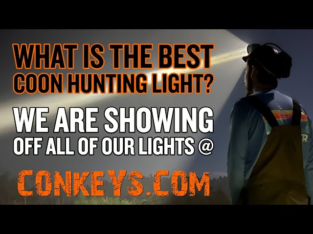 What Is The Best Hunting Light We