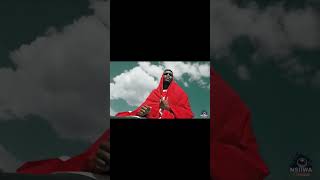 Dan Morwa Mangwapetaba Tsa Gago