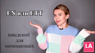 Урок 15. EN или ETT. Шведский для начинающих