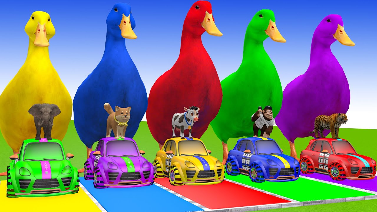 Long Slide Game With Cow Elephant Gorilla Hippopotamus Tiger 3d Animal Game Funny 3d Animals