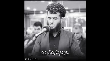 تلاوة عطرة ♡ من سورة التحريم ♡ للقارئ رزكار محمد  الكردي♡