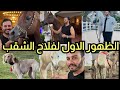 اول ظهور للظاهرة فلاح الشقب احد اجمل الافحل والفرس الدهماء رفست الخيل من مربط العديد فى قطر