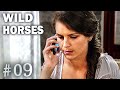 Wild horses  episode 9  srie complete en franais