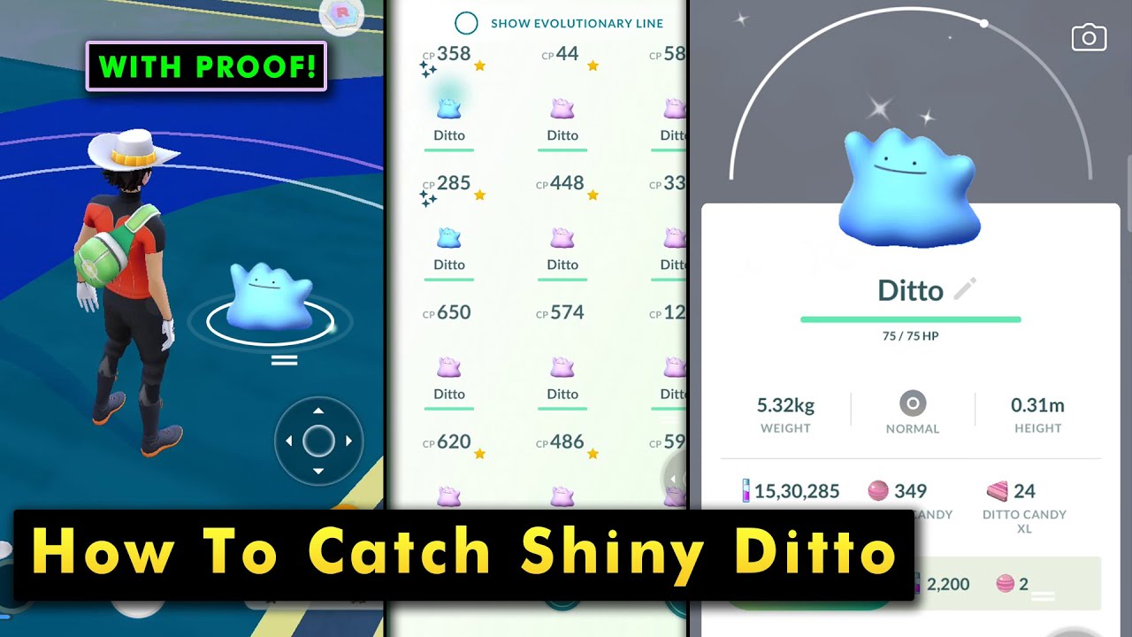 😍 100% get Shiny Ditto in Pokemon go. How to get Shiny Ditto. Best trick  for Shiny ditto 