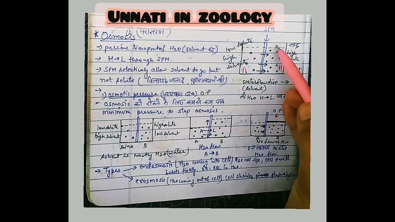 osmosis and its types imp allaboutosmosis!osmotic pressure bsc
