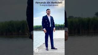 Fernando din Barbulesti - Te strig in clipele durerii