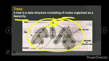 Computer Science - Data Structures - Chapter 4 - Part 9 - 2nd PU, 10+2, Class 12