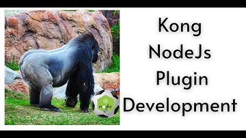 Create a Kong Plugin in NodeJs