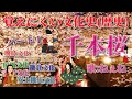 【歌ってみた】覚えにくい文化史① ( 千本桜 / 替え歌 社会 歴史 )