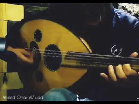 انا رايح فين انا راجع تاني عمرو دياب   عود 