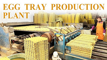 Efficient Egg Tray Production Process | High-Quality Egg Tray Making Machine #eggtray