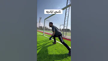 انواع حراس المرمى 2 
