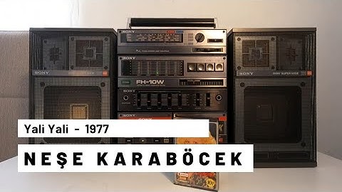 Neşe Karaböcek | Yali Yali 1977 | Kaset | SONY FH-10W