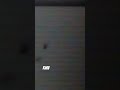 #our meeting#trending  #youtubeshorts#kuttus And Mikkus vlogs
