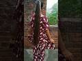How to make kaftan | Kaftan सिलने ka tarika | #shortsfeed #viralshorts #shorts