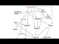 Lecture 12 ecology of Phytoplankton (Limnology)