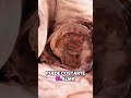 🤯 El Misterio de las Momias de Coahuila que Nadie Puede Explicar