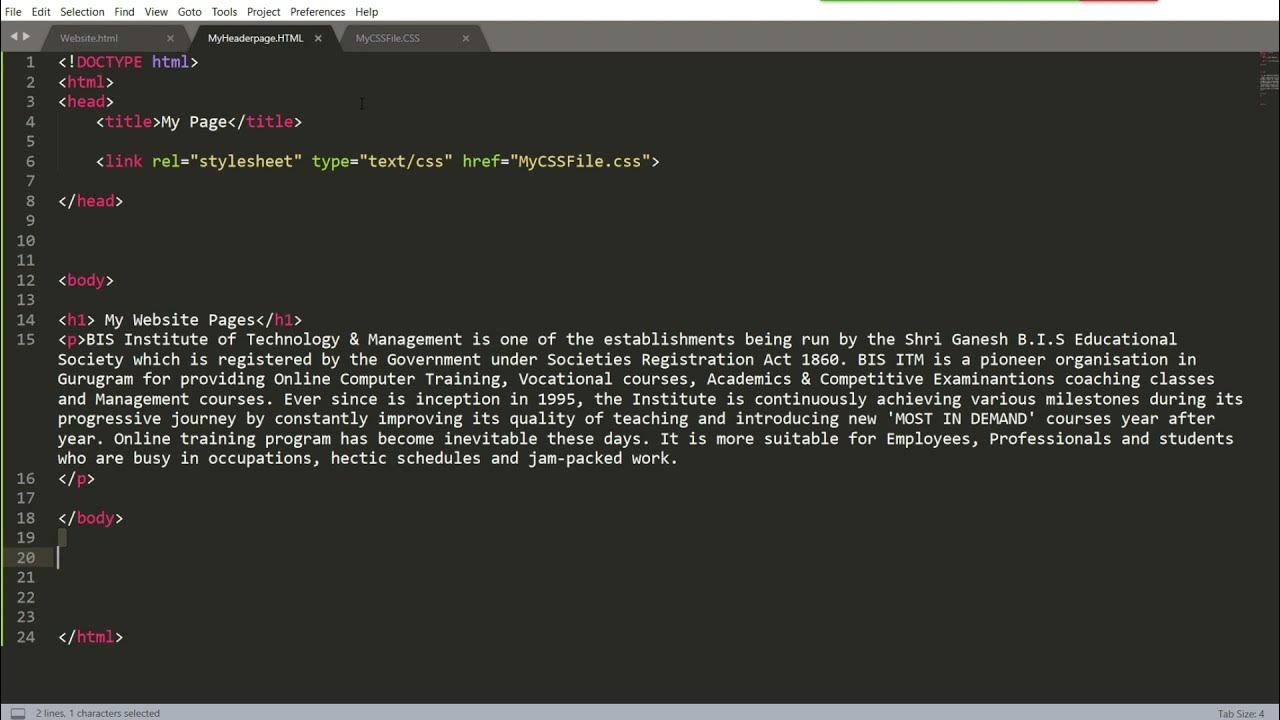 HTML फाइल को CSS फाइल से कैसे लिंक करते है ? How to link CSS file into ...