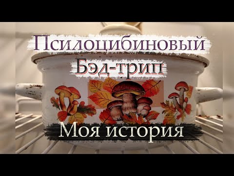 Грибное путешествие / Псилоцибиновый бэд трип / Волшебные грибы / Страх смерти