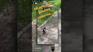 #настроениелето #природа #чихуахуашечка #позитивчик