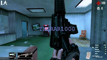 Zombie Panic Source Old School M4