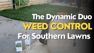 Best Weed Control For Southern Lawns