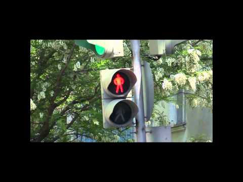 \"მზის დარტყმა\" -ანონსი...